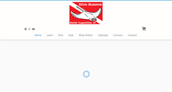 Desktop Screenshot of divesourcefl.com